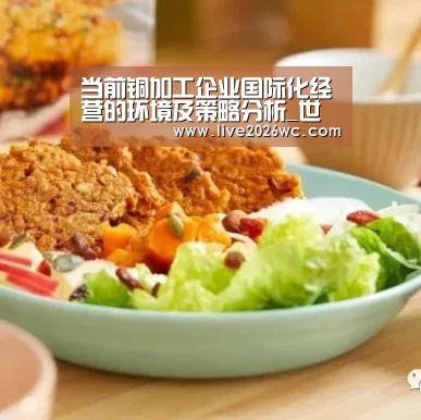 当前铜加工企业国际化经营的环境及策略分析_世界杯资讯(图2) 新闻快讯