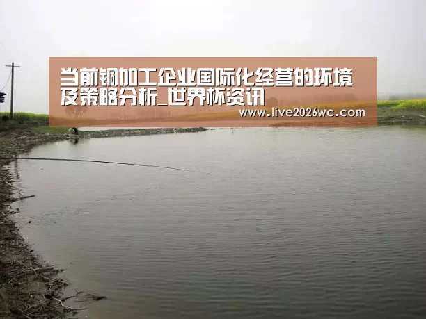 当前铜加工企业国际化经营的环境及策略分析_世界杯资讯(图3) 新闻快讯