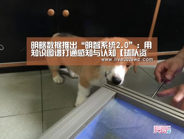 明略数据推出“明智系统2.0”:用知识图谱打通感知与认知【球队资料】(图1) 赛程时间
