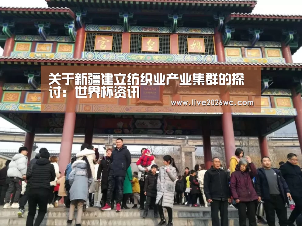关于新疆建立纺织业产业集群的探讨:世界杯资讯(图2) 世界杯资讯
