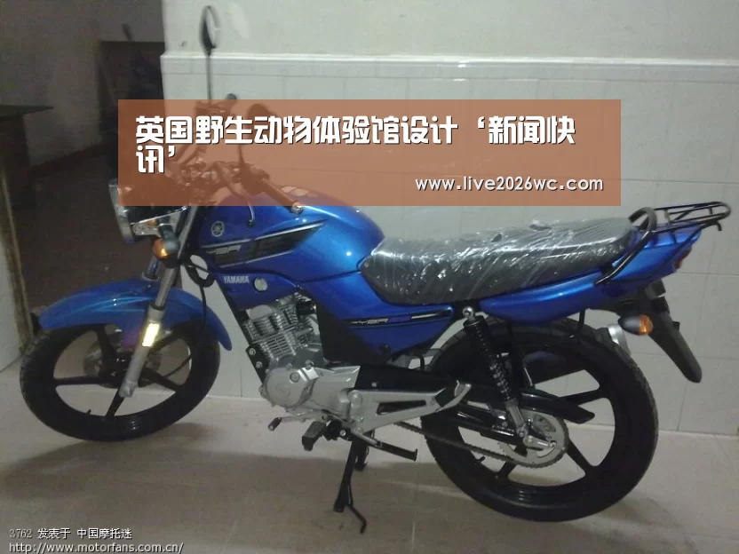 英国野生动物体验馆设计‘新闻快讯’(图4) 赛程时间