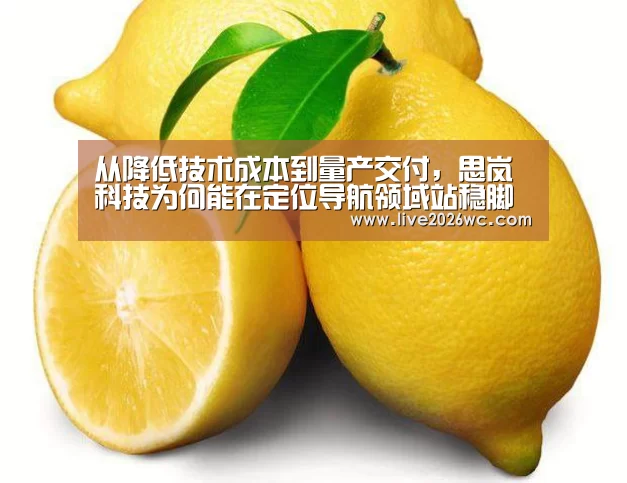 从降低技术成本到量产交付,思岚科技为何能在定位导航领域站稳脚跟?【世界杯资讯】(图1) 赛程时间