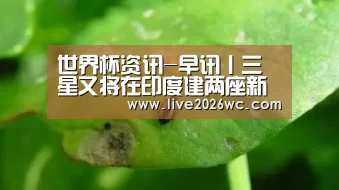 世界杯资讯-早讯丨三星又将在印度建两座新工厂;欧盟将对苹果展开正式反垄断调查(图2) 球队资料